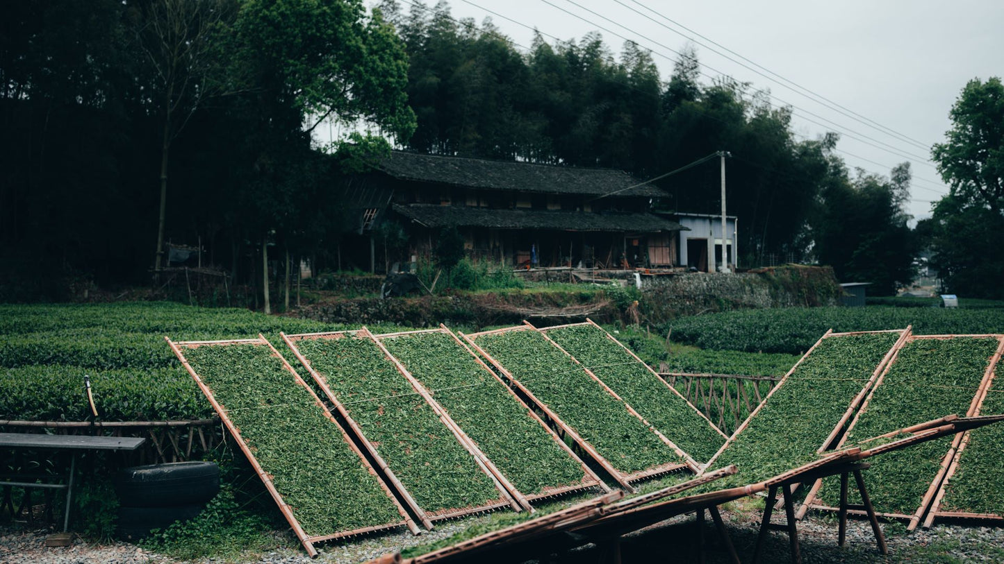 8-Sun-drying