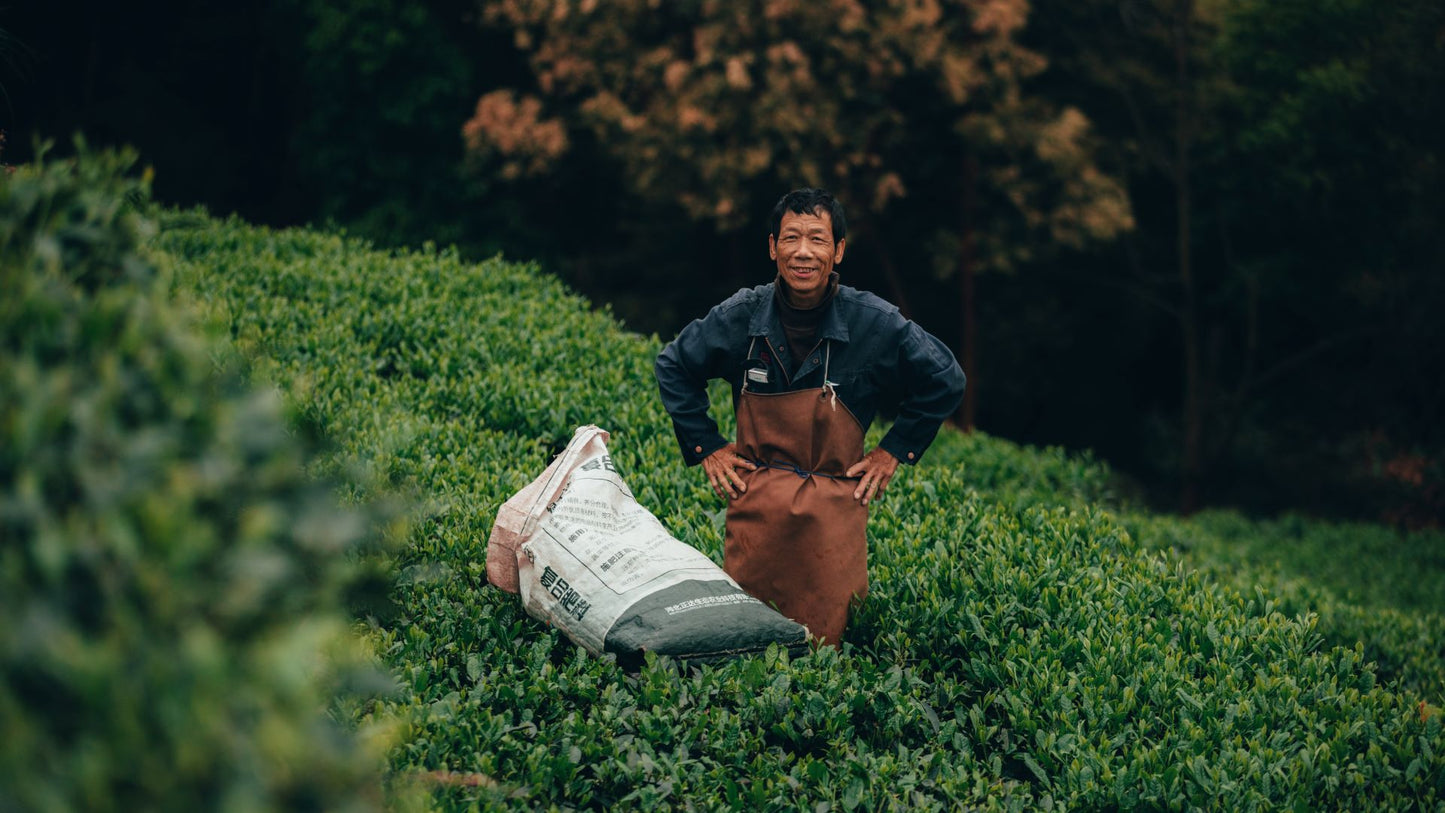 2-Tea Farmer
